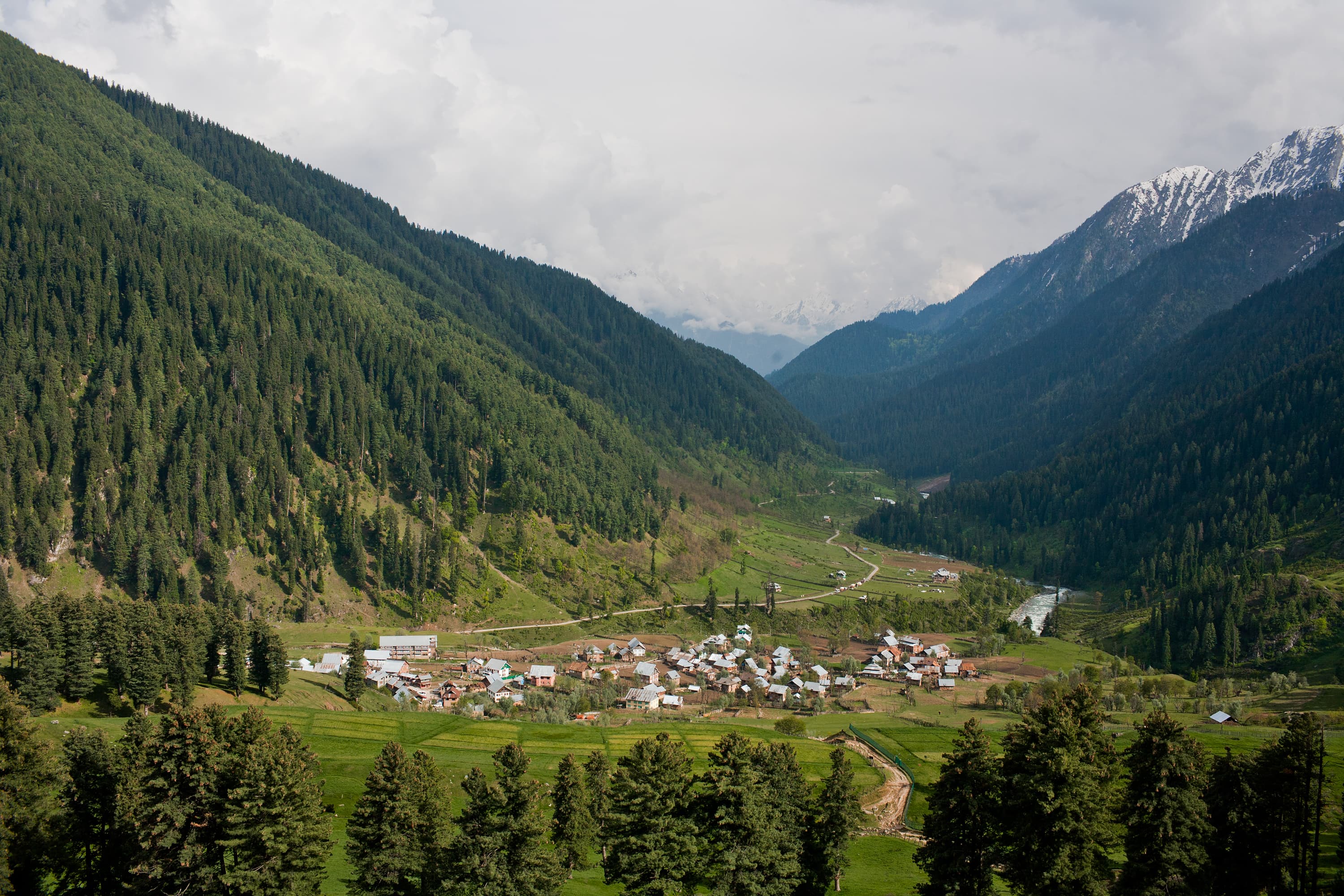 Aru Village