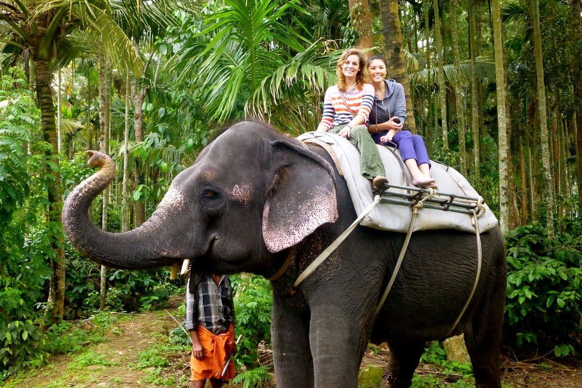 Thekkady Elephant Ride