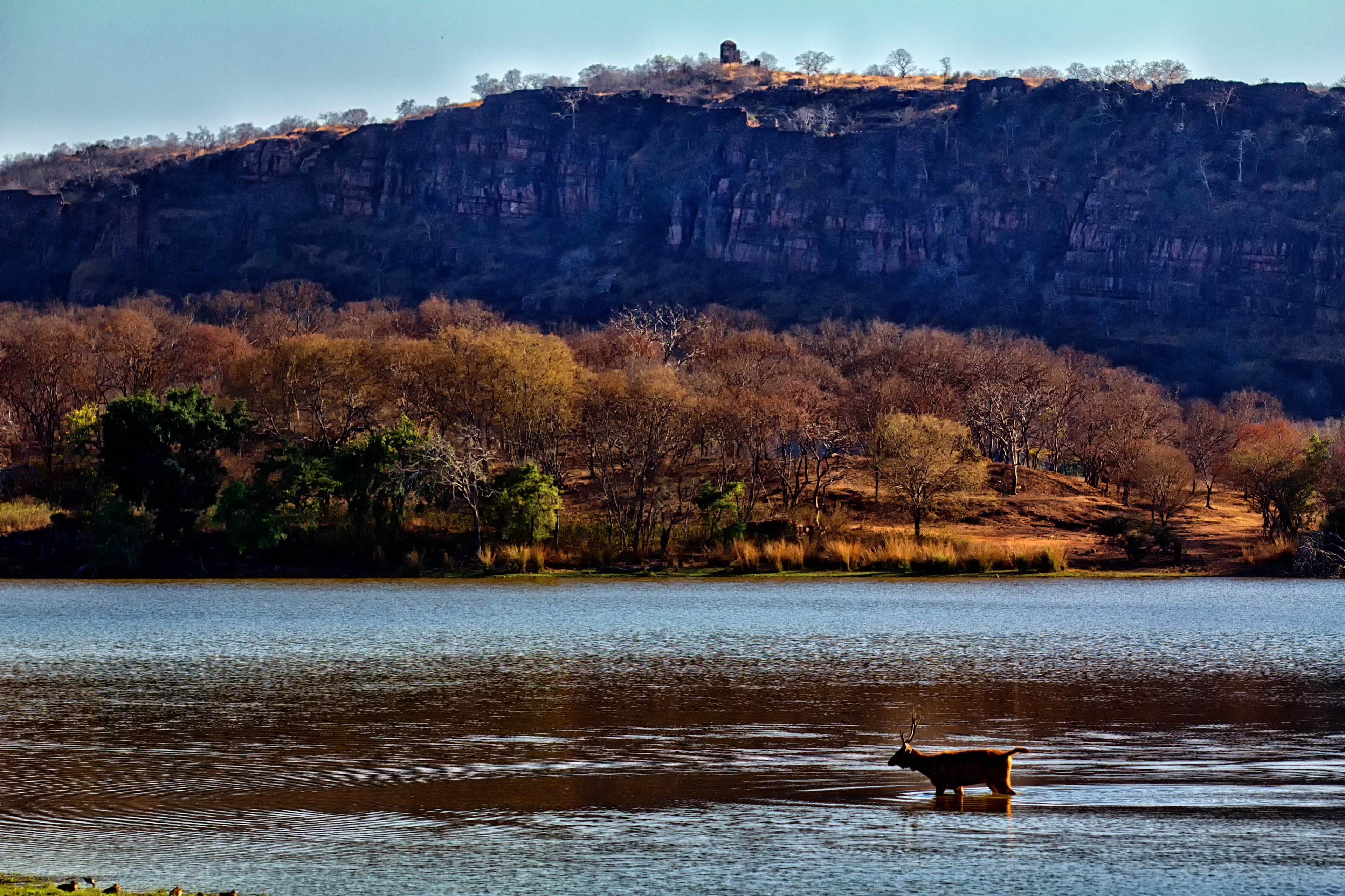 Ranthambore Lake