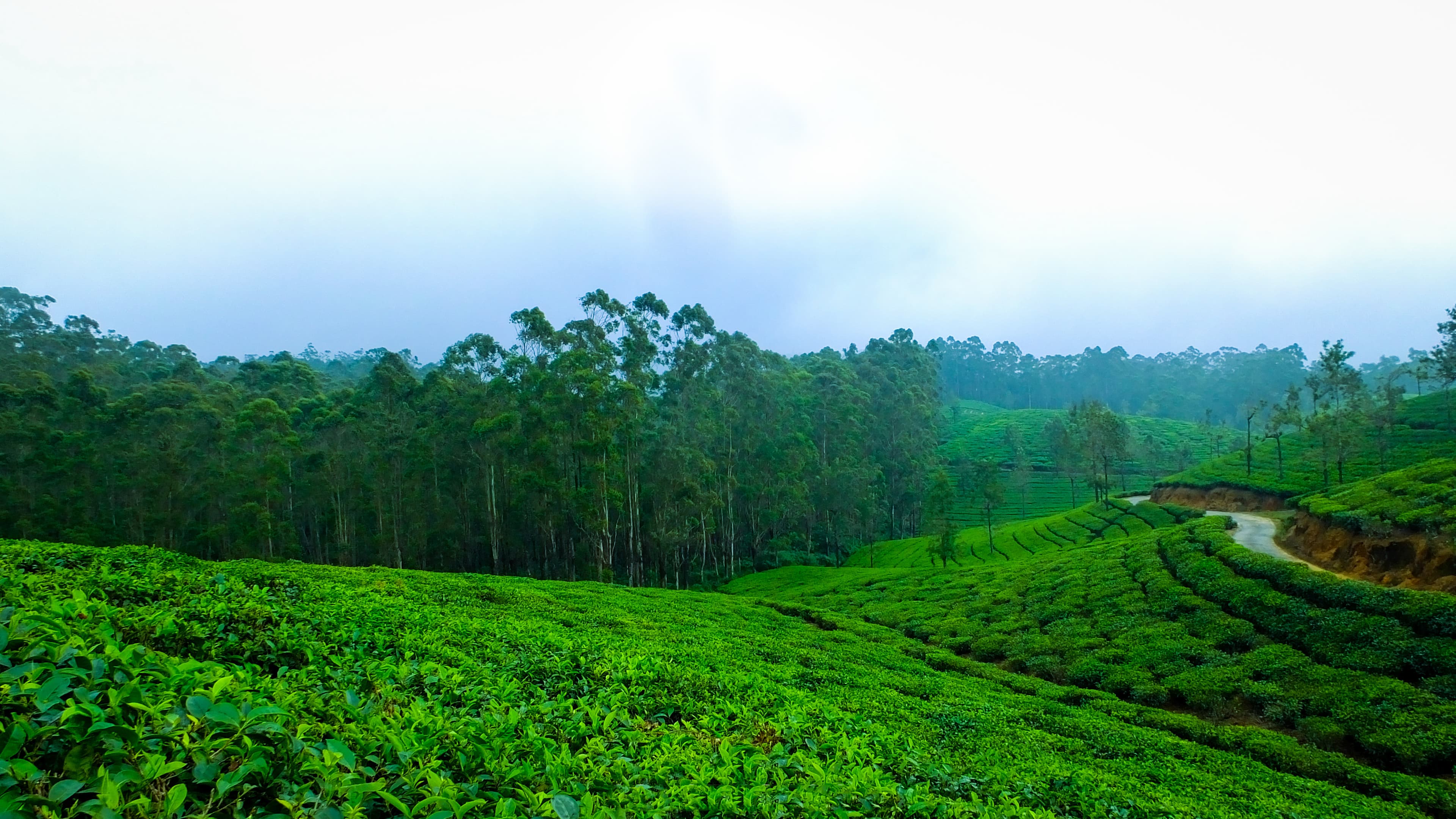 Explore new locations with Globaltrails